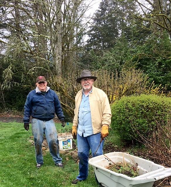 Lions Mike and Irv, get down and dirty, pulling weeds for a non-profit park, in Sandy, Oregon.